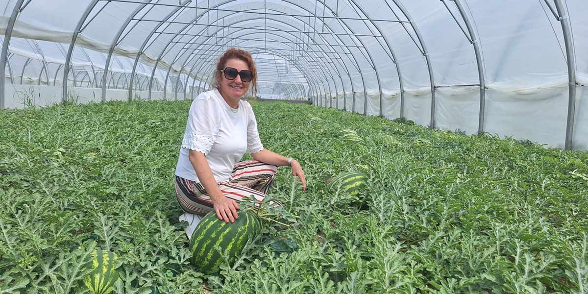 Angurie, al via la raccolta nel Nord Italia: qualità e domanda in crescita
